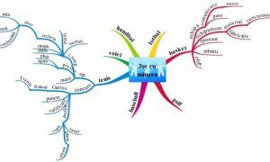 Mind Map - Joc cu mingea